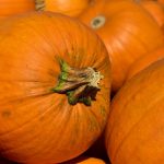 pumpkins, fall, harvest-3636243.jpg